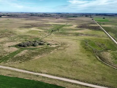 Campo en venta - 50 Hectáreas - General Madariaga