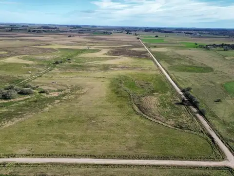 Campo en venta - 50 Hectáreas - General Madariaga