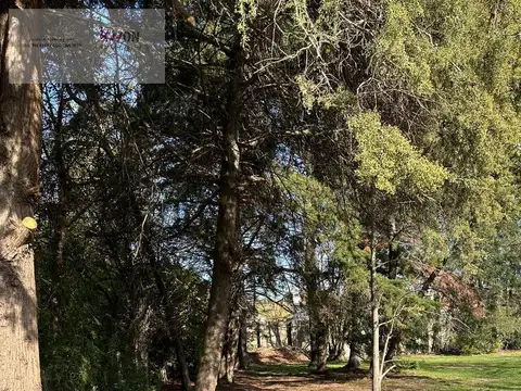Venta Terreno / lote en  Barrio Los Fresnos, Bella Vista ( San Miguel)