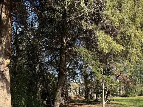 Terreno en Venta de 1150,0 m2