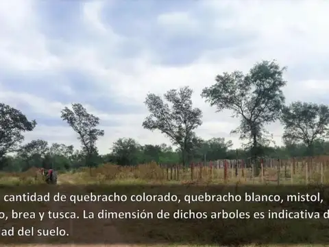 Clodomira - La Banda - Santiago del Estero