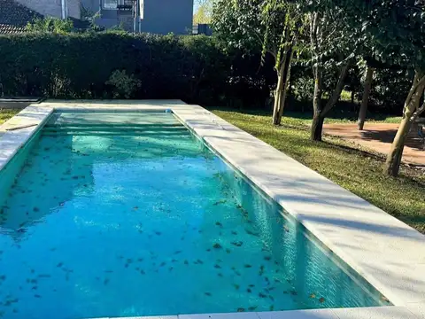 Au. Panamericana 100