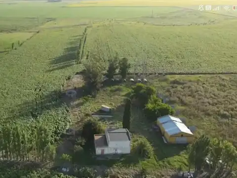 Campo en Balcarce