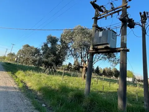 Salgado Este 1000