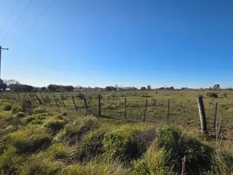 2 HECTAREAS, JUNTAS O SEPARADAS