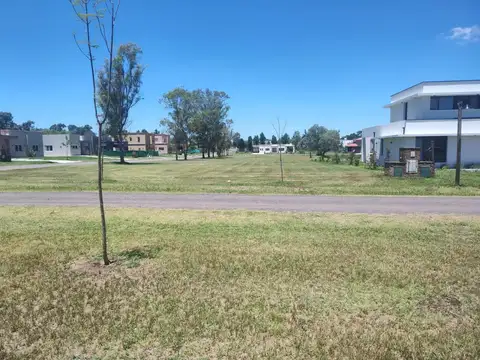 Casuarinas del Pilar 100