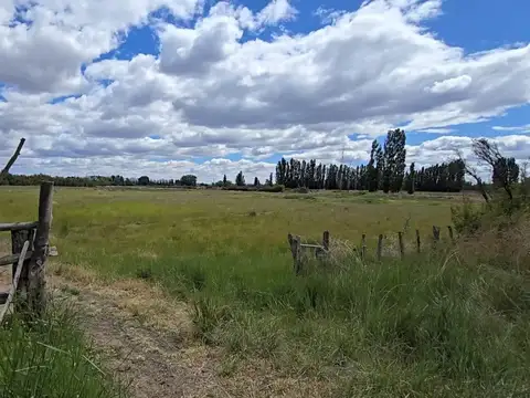 Chacra 5,8 has, con costa del Río, Gaiman