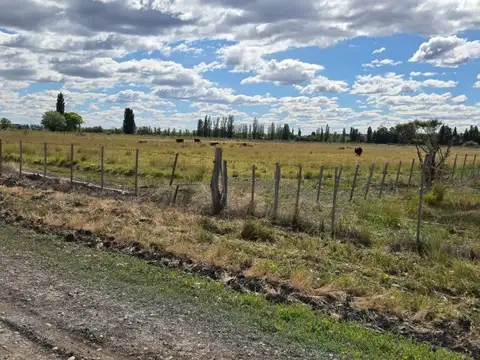 Campo en Venta Chacra