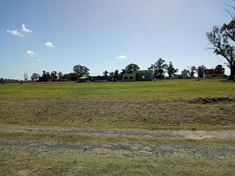 Terreno en Venta 31  mts Fondo