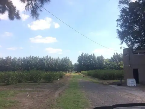 Quinta en Venta al Este