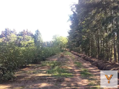 Quinta en venta - 2 Dormitorios 1 Baño - 100.000Mts2 - Florencio Varela