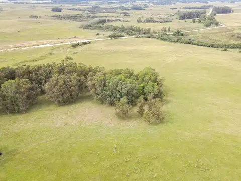 Quinta en Venta en Aigua, USD 6.000.000