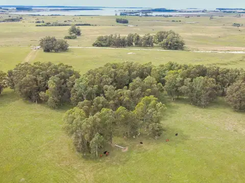 Camino Del Anastasio