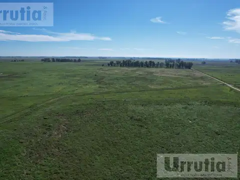 Campo en venta en Lobos