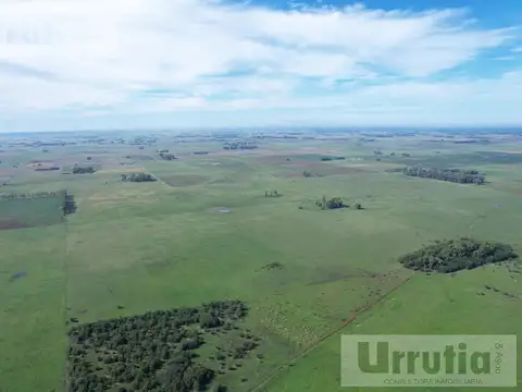 Campo en venta en Lobos