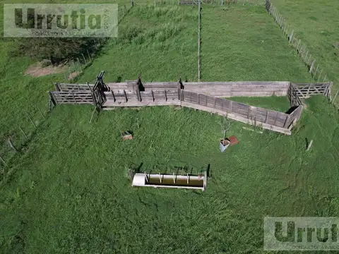 Lobos proximo ruta 40