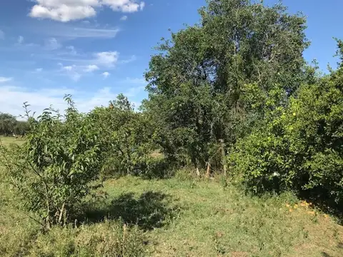 Quinta en Venta 60 años