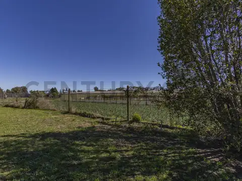 FRACCION DE TIERRA EN VENTA EN ABASTO LA PLATA