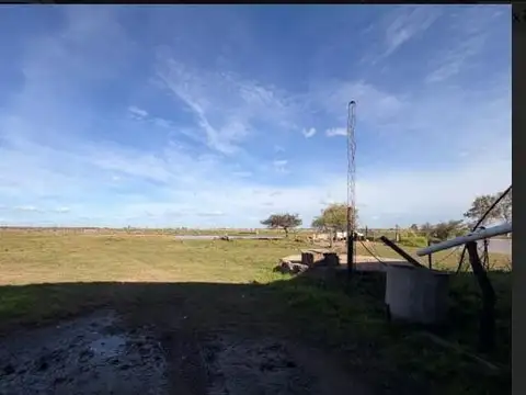 1675 ha CAMPO San Cristobal