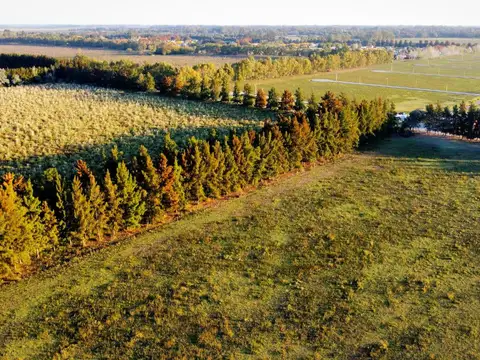 Terreno en Venta de 1000,0 m2