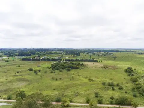 LOTE en VENTA -  CARDALES - CONTADO