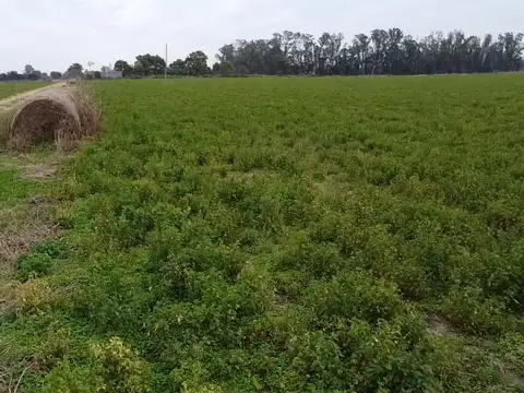 Zona Rural
