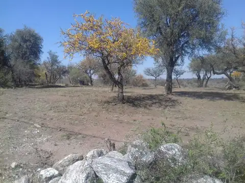 Terreno en Venta de 1564,0 m2