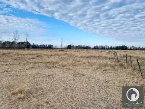 TERRENO  2.625M2 EN NUEVO ALBERDI FRENTE AL CLUB UNIVERSITARIO DE ROSARIO