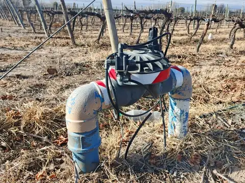 Fincas y unidad productiva en venta en Mendoza