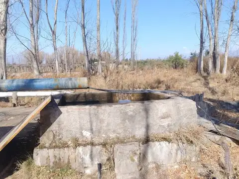 Fincas y unidad productiva en venta en Mendoza