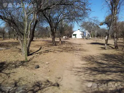 Campo Ganadero en Ayacucho, San Luis