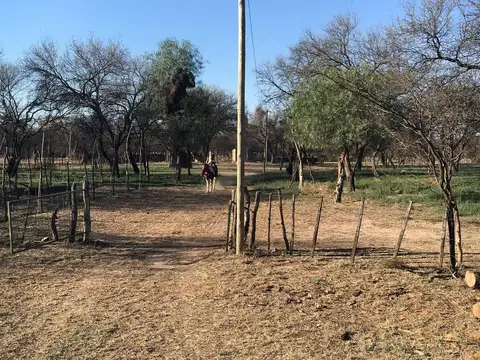 Campo Ganadero en Ayacucho, San Luis