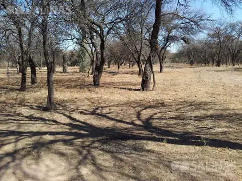 Campo en Venta de 3.300  ha