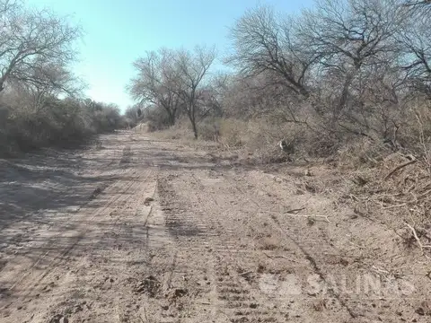 Campo en Venta de 3.300  ha