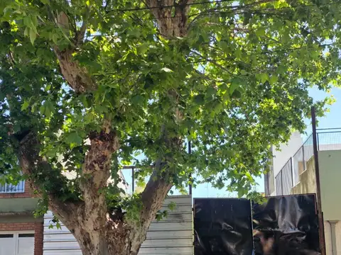 Terreno en excelente ubicacion: San Martin 790, Banfield