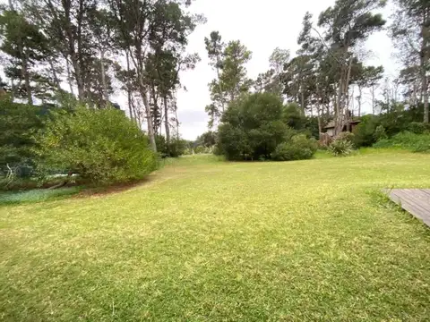 43 e/ Pinamar y Punta del indio