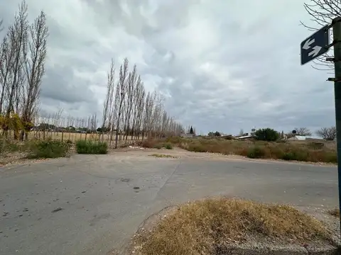 Calchaqui 100
