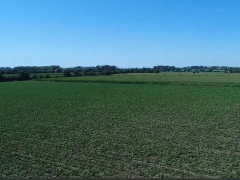 Chacra en venta en Colonia Caroya 4,87 Ha.