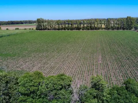 Chacra en venta en Colonia Caroya 4,87 Ha.