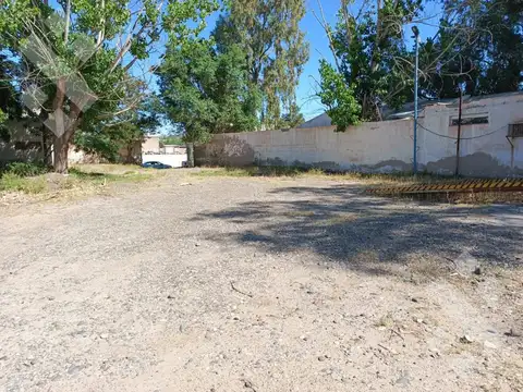 Galpon en Venta en Rincón de los Sauces, USD 220.000