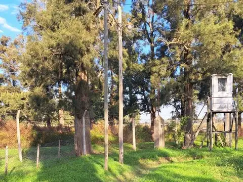 Araucarias Mza 98 Lote 8