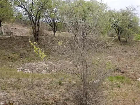 Terreno en Venta de 1245,0 m2