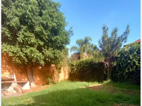 ARANA, P DE 500