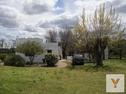 España y Ameguinho
