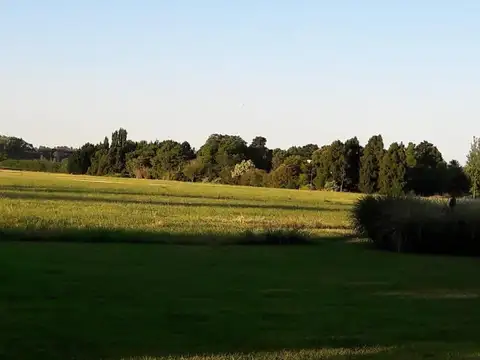 ALQUILER TEMPORARIO CASA  COUNTRY LUJAN 5 DORMITORIOS PILETA