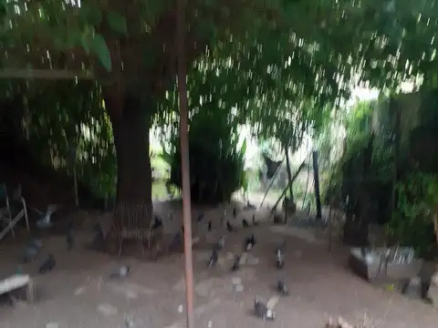 Terreno en Venta de 440,0 m2