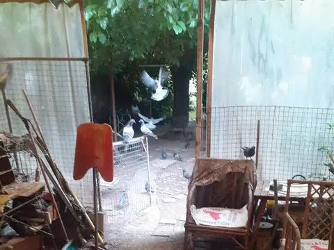 Terreno en Venta en Floresta Norte, USD 280.000