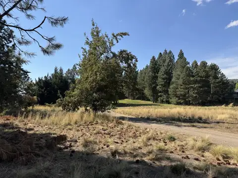 VENTA TERRENO SAN MARTIN DE LOS ANDES. CHAPELCO GOLF !