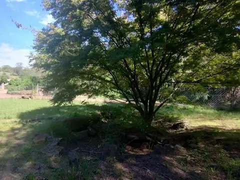 Terreno en Venta de 1068,0 m2