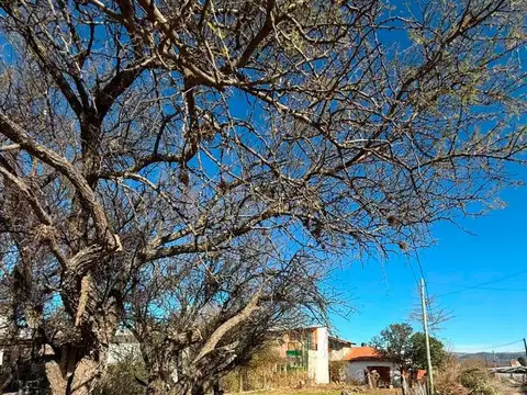 Terreno en Venta de 300,0 m2